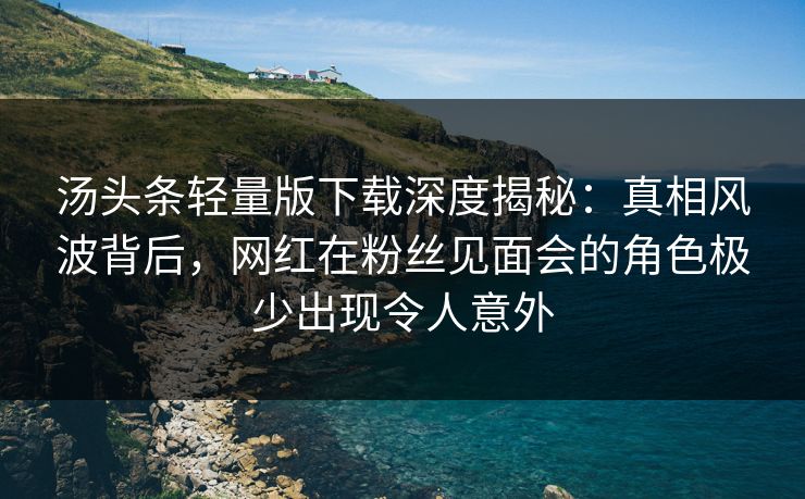 汤头条轻量版下载深度揭秘：真相风波背后，网红在粉丝见面会的角色极少出现令人意外